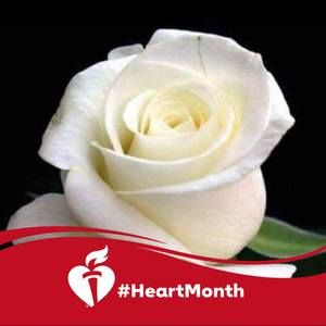 Meet your Posher, Ana